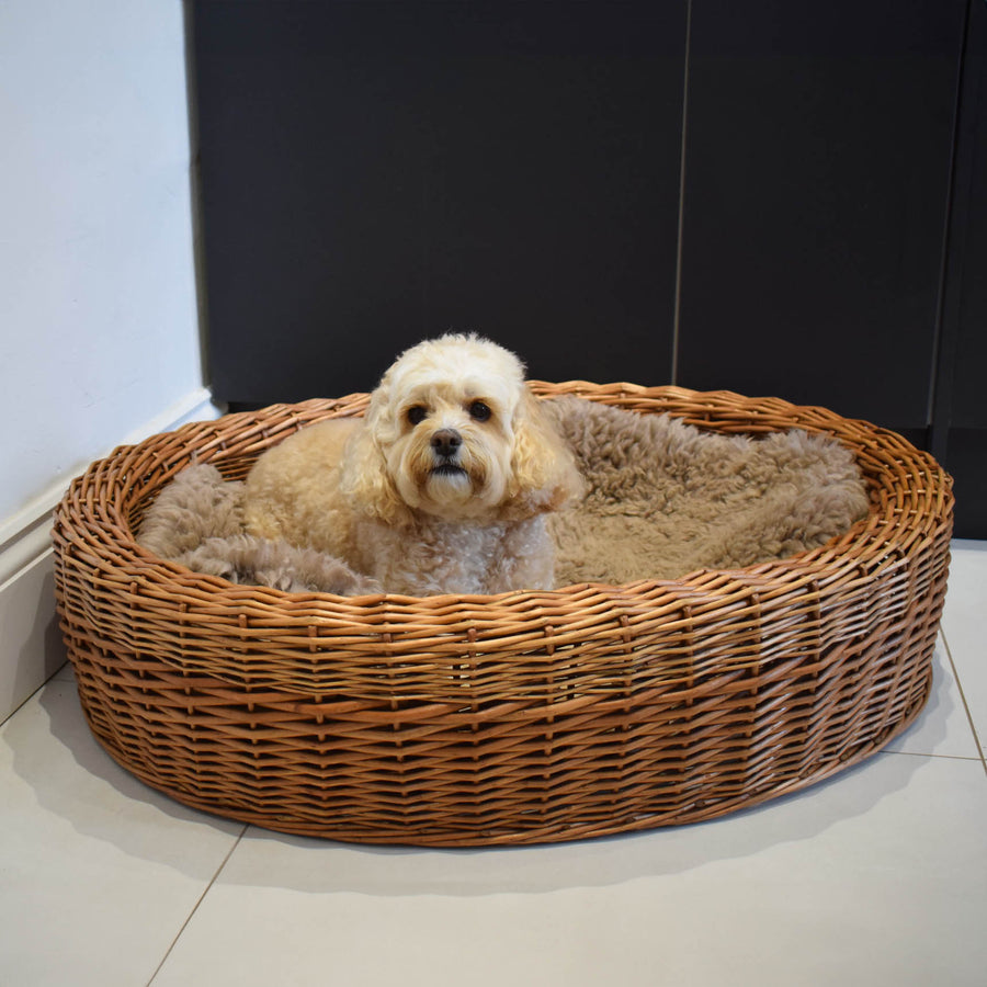 Best In Show - Darcy Wicker Pet Bed (Small)