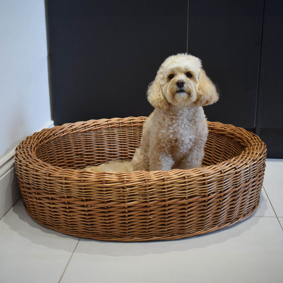 Best In Show - Darcy Wicker Pet Bed (Small)