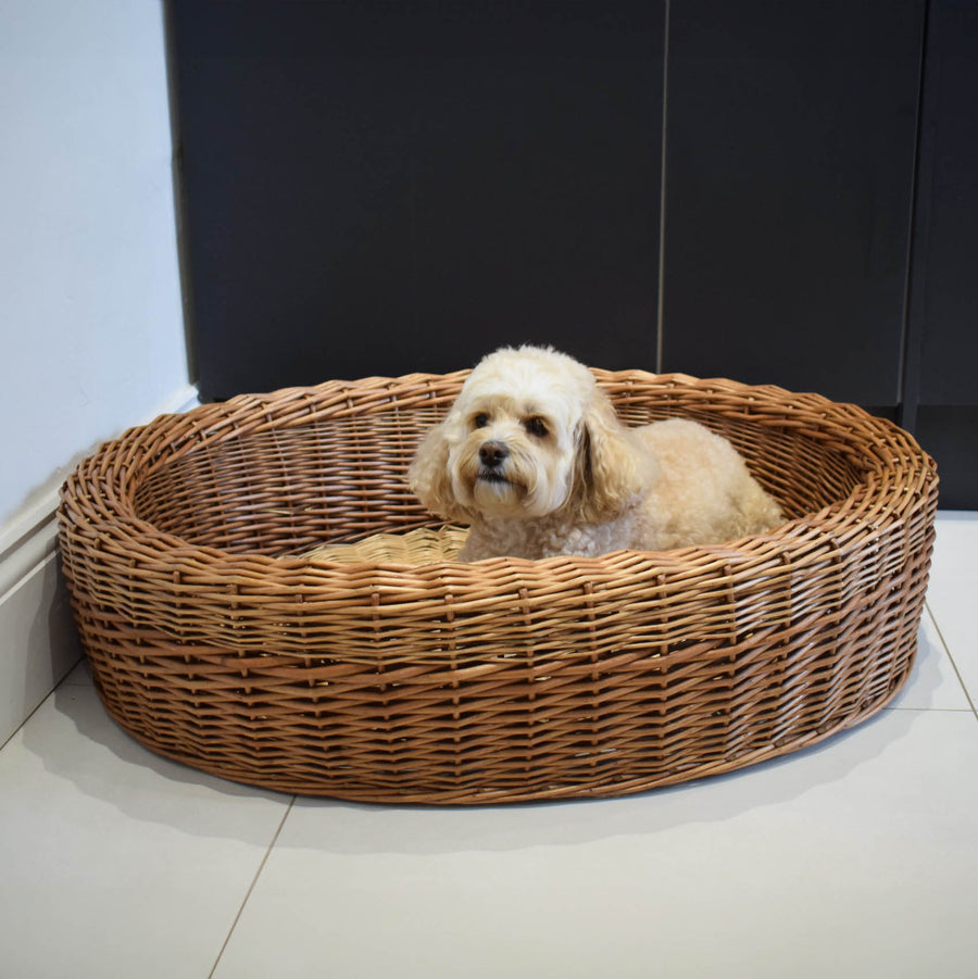 Best In Show - Darcy Wicker Pet Bed (Small)