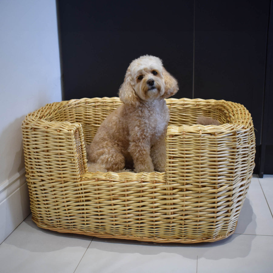 Best In Show - Winston Wicker Pet Bed (Medium)